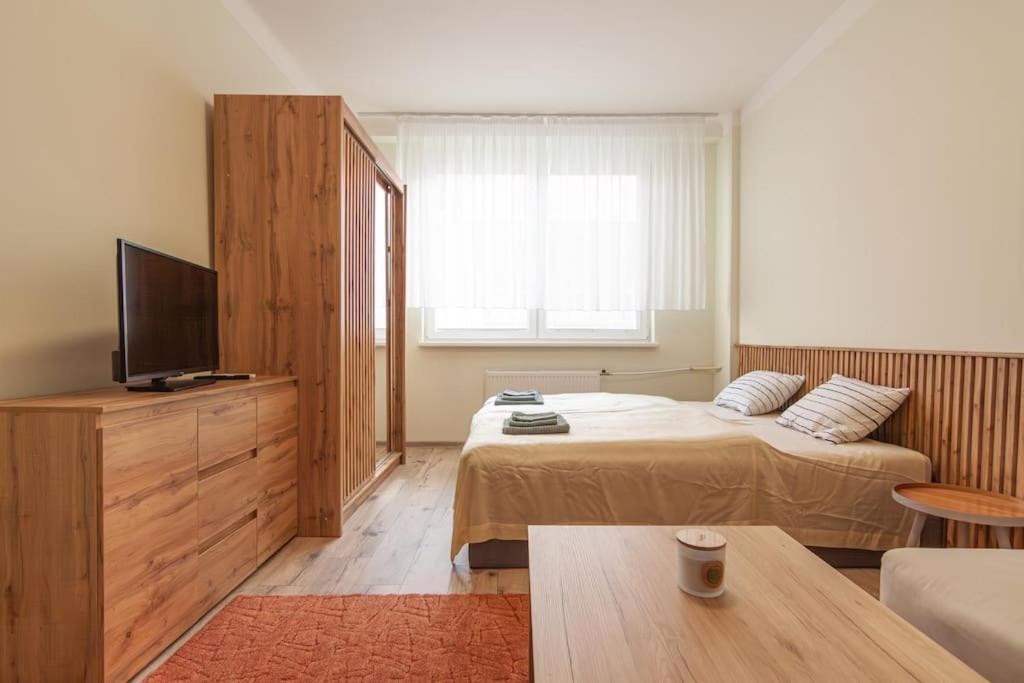 Vysoka Apartman Emf/Stp ブラチスラヴァ エクステリア 写真